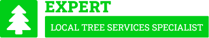 Manawatu Tree Care - Tree Removal Manawatu
